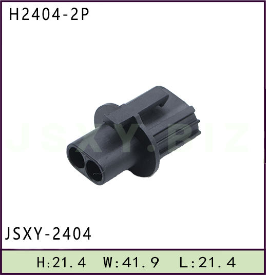 JSXY-H2404-2P