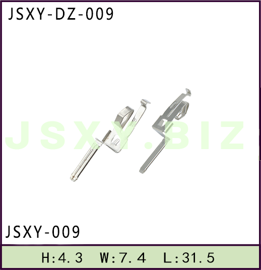 JSXY-DZ-009