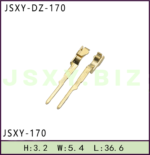 JSXY-DZ-170