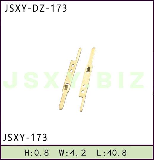 JSXY-DZ-173