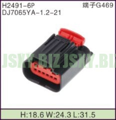 JSXY-H2491-6P