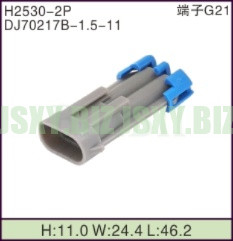 JSXY-H2530-2P