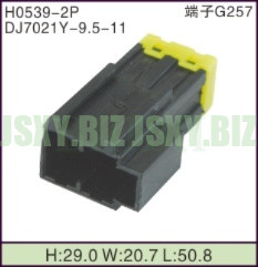 JSXY-H0539-2P